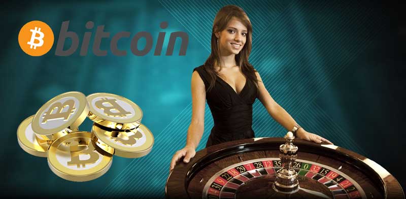 Crypto Live Casino in the USA: How to Experience the Thrill of Real-Life Gaming Online